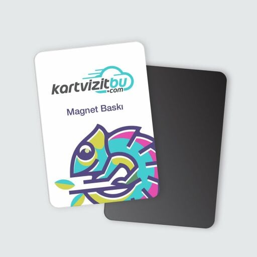 Magnet Baskı