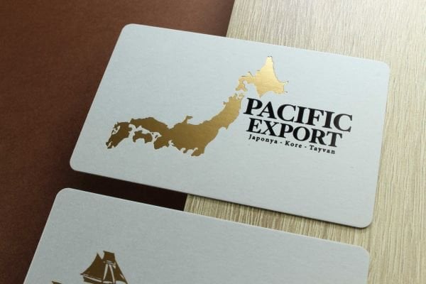 Pacific Export - Fantazi Açık Gri Kağıt - Yaldız Baskı - Dubleks Sıvama