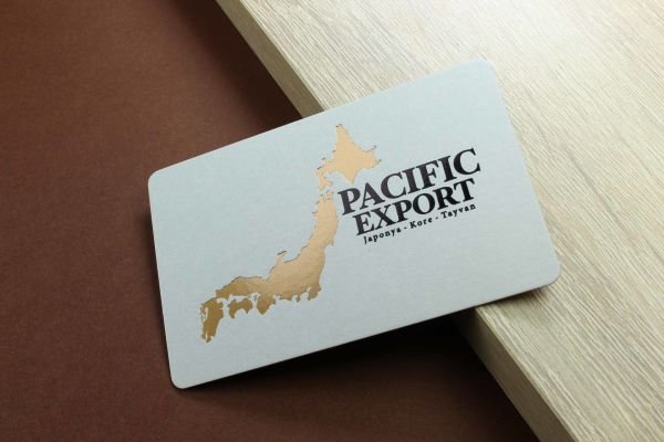 Pacific Export - Fantazi Açık Gri Kağıt - Yaldız Baskı - Dubleks Sıvama