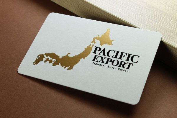 Pacific Export - Fantazi Açık Gri Kağıt - Yaldız Baskı - Dubleks Sıvama