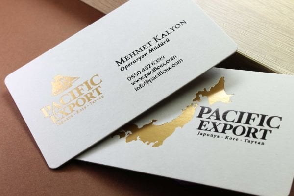 Pacific Export - Fantazi Açık Gri Kağıt - Yaldız Baskı - Dubleks Sıvama