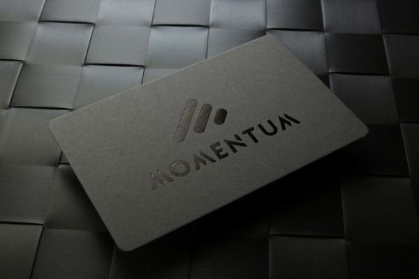 Momentum - Fantazi Gri Kağıt - Yaldız Baskı - Dubleks Sıvama
